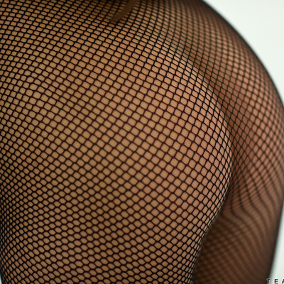 Fishnet And Heels - Nubiles